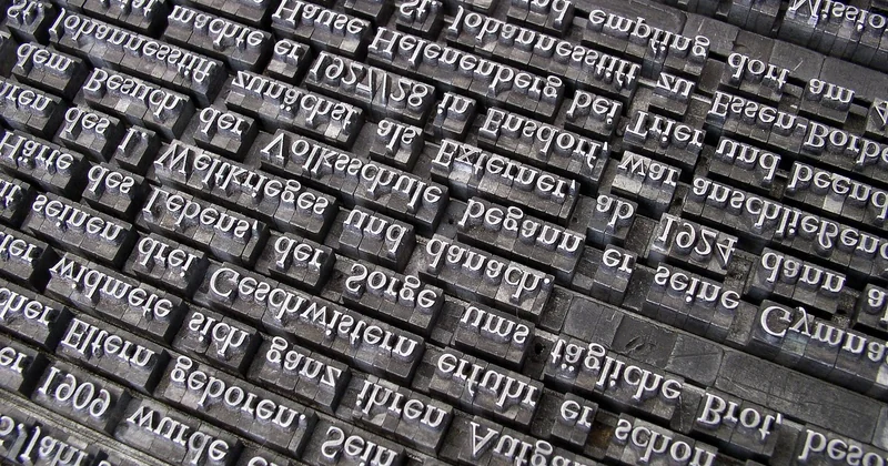 Le jeu de mots derrière « Auchan oiseau »