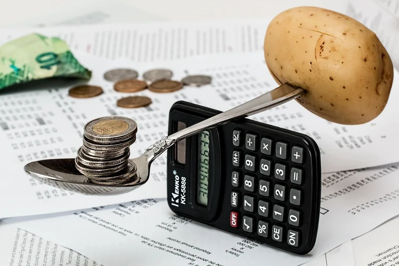 Combien ça coûte (et pourquoi les prix varient tant)