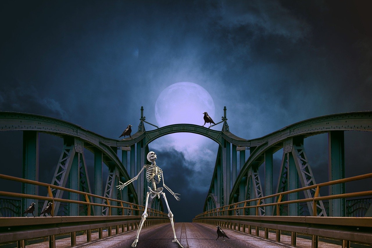 Créer son entreprise en ligne : est-ce vraiment plus simple ?